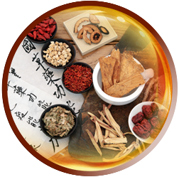 鹿茸血