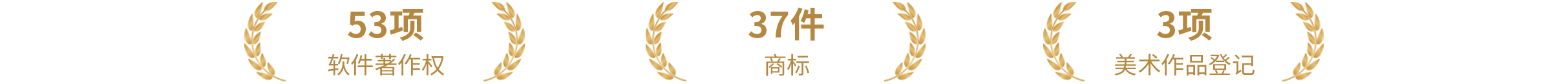 产品生态布局